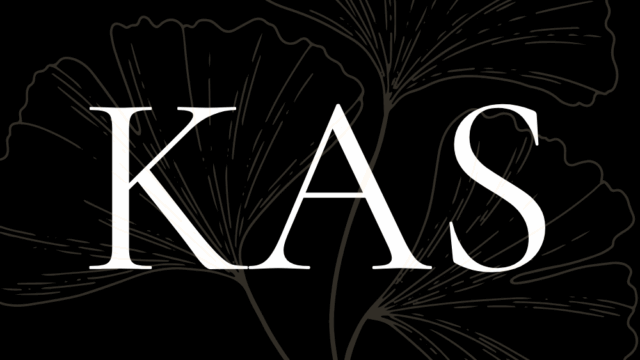 Khan-Artist-Studios.png