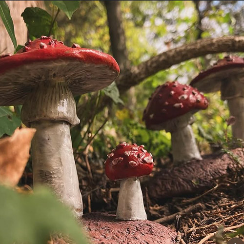 mossy hollow